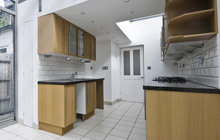 Wormbridge Common kitchen extension leads
